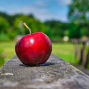 Replay-web-miam – 2025-10-20T060930.272